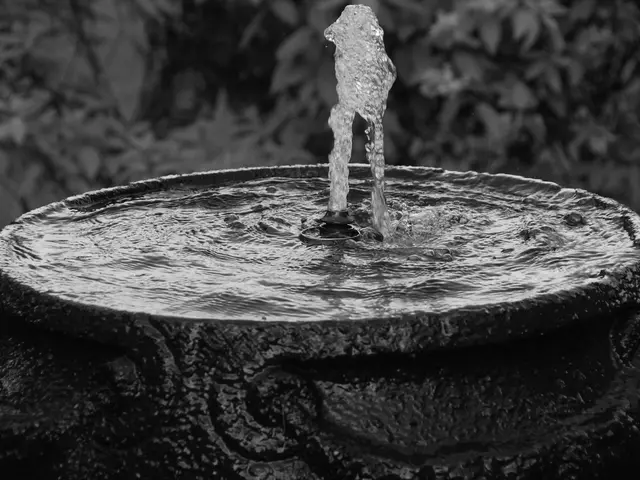 Invito a gara: l'autorità di gestione dei rifiuti solidi della contea di Lancaster cerca appaltatori per un impianto di trasformazione dei rifiuti riciclabili a flusso unico