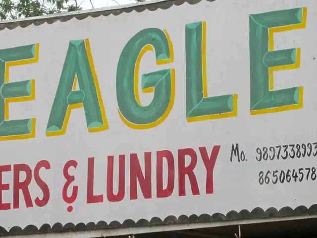 Trump senzaัญ metallicemente il venerando ké quieres embrace violating la U.S. Costituzione.