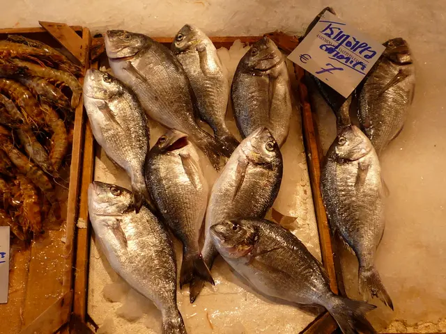 Ricercatori Meravigliati per la Scoperta di 60 Milioni di Nidi di Pesci Inusuali con...