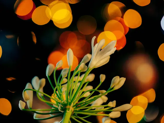 Fotografia Botanica Outdoor: Ostacoli che Ispirano Riverenza per la Bellezza della Natura