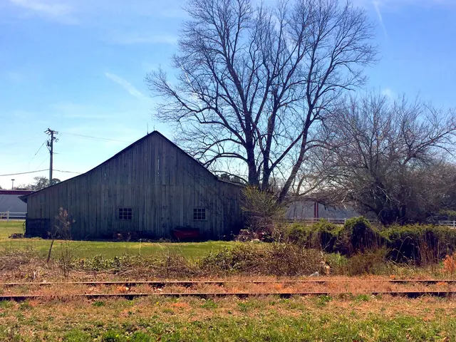 Sette Percorsi nella Natura che Coltivano la Curiosità attraverso l' Immersioni nella Meraviglie...