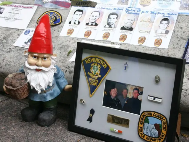 Rarissima cartolina del baseball del 1917 di Babe Ruth venduta per $244.000 alle aste Heritage