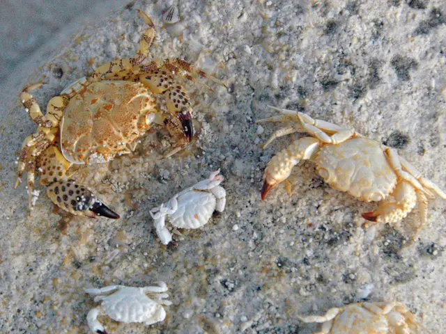 Episodio 3 riassunto: