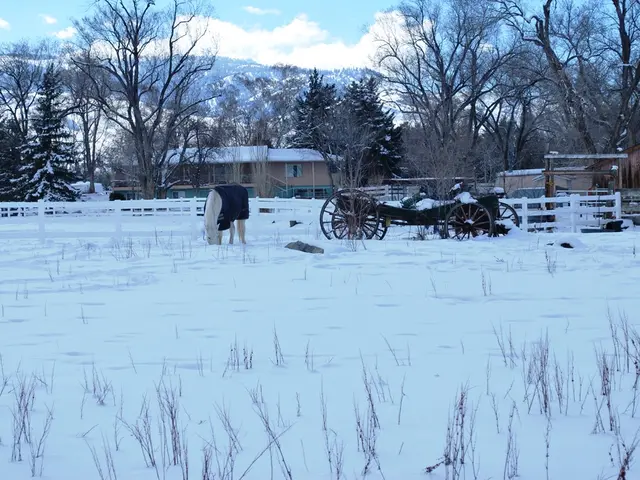 Scelte degli Editori dalle ultime Scelte del Motley Fool