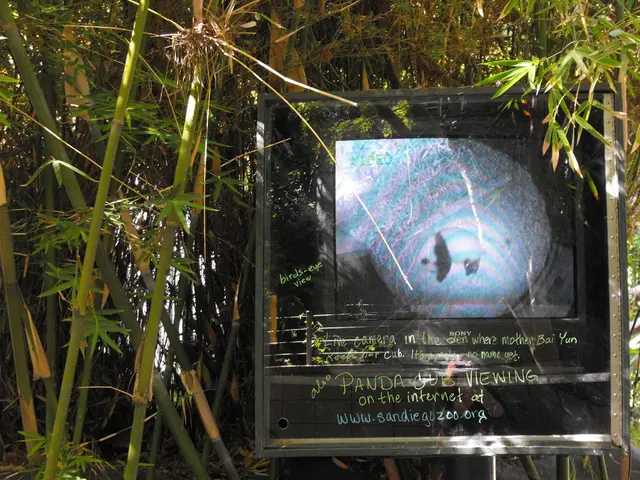 Il responsabile della taglia legname favorisce i contrasti con i proprietari della foresta a causa...