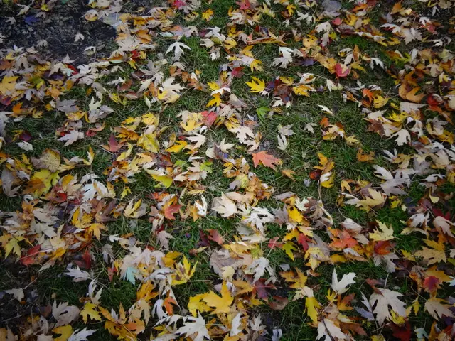 Raccolta migliorata: Compressione efficiente di erba e granturco utilizzando la tecnologia...