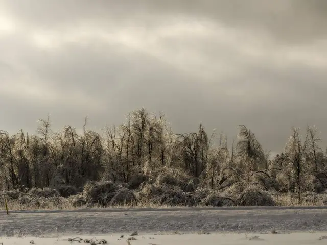 Glossario degli Oggetti Astronomici: Albedo - Descrizione e Analisi Completa