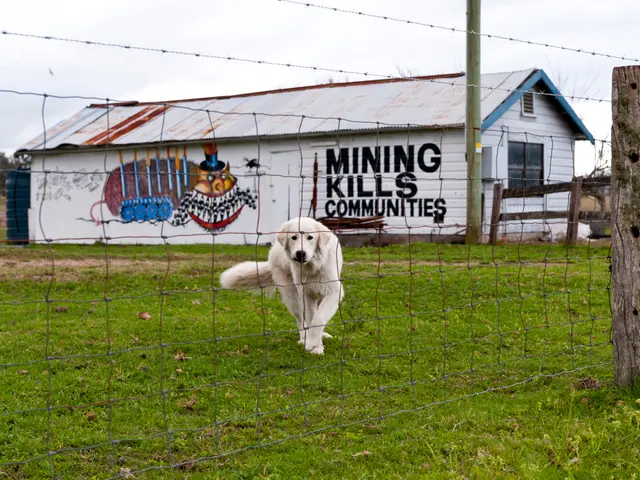 Il terreno del vicino viene utilizzato dal proprietario per costruire una casetta sul retro