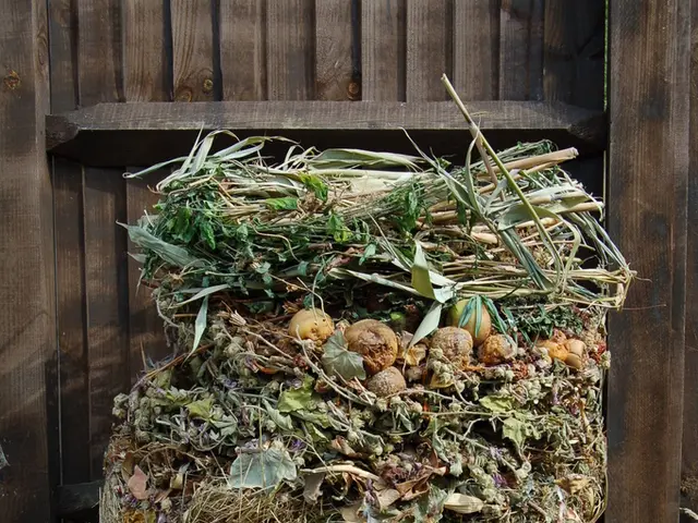 Alan Titchmarsh dichiara di credere di aver trovato la soluzione per il compost torba-free.