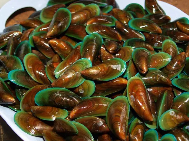 Esplorata la 'Cape Cod europea', distinguendo l'estetica dell'arredamento costiero interno in...