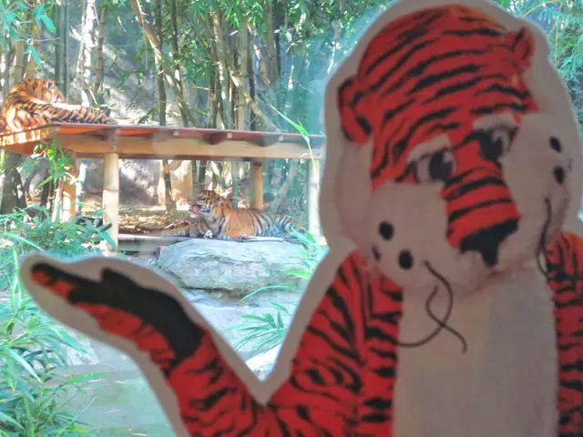 La natura in evoluzione del Tigre e la Saga di un Celebrato Cacciatore