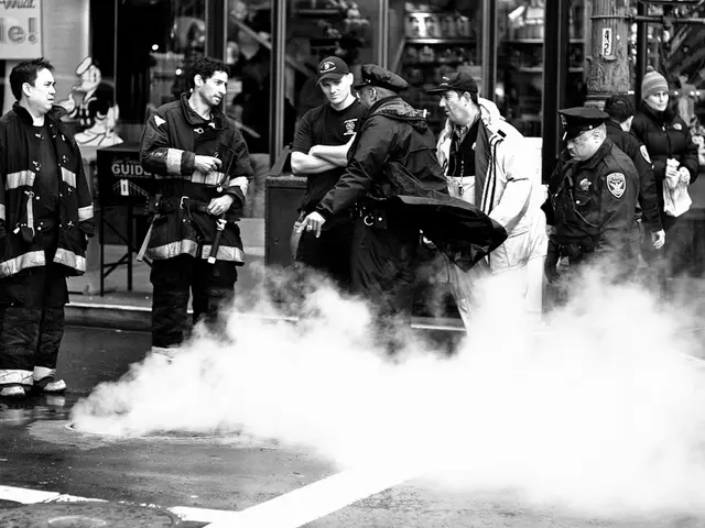 Imputato Ladro: Un residente di Princeton affronta accuse di furto con scasso a Spring Valley