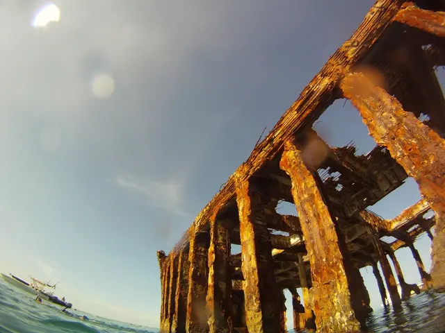 Vela da addestramento gigante, classificata tra le migliori al mondo, attesa a Dublino questo fine...
