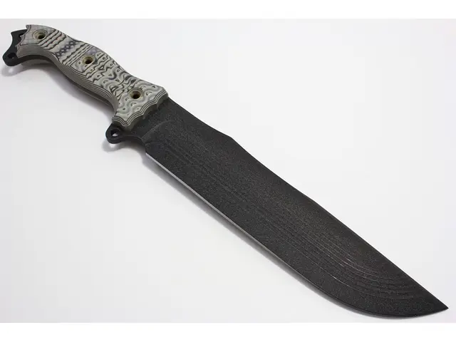 Ragazzo di 14 anni di Clare ha subito gravi ferite alla testa richiedenti 80 punti a seguito di un...