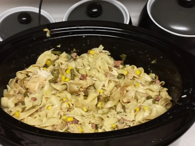 Risparmia il Portafoglio con Cibi Lentamente Cotti per Risparmiare