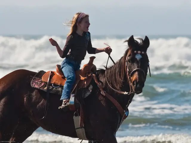 Turmuluo emotivo della famiglia mentre vendono la figlia Sea The Stars da €750,000, lasciando...