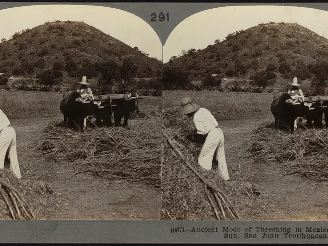 Titoli Plug Power in bilico.