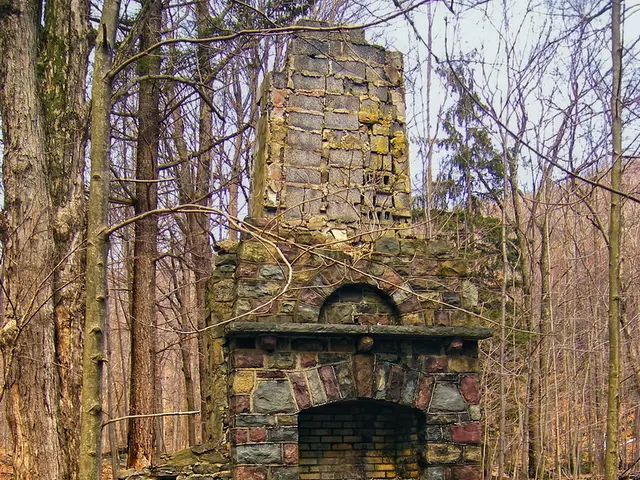 Gli esperimenti dimostrano la notevole resilienza delle pareti di legno sotto i 100 chilonewton di...