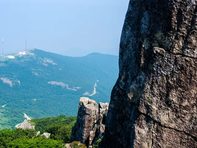 Iniziare un'indagine su un gruppo simile a un culto, gli Hetaoni.