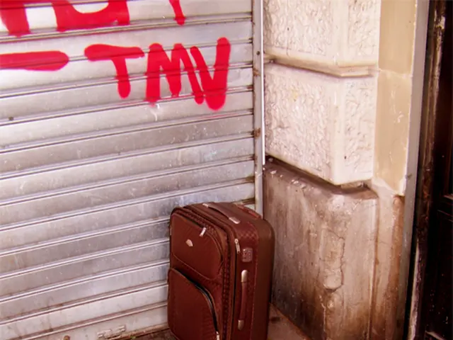 Approitato dai assistenti di volo, prodotto Costco conveniente mantiene il cibo freddo per periodi...