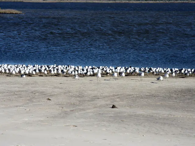 Spiaggia caraibica mozzafiato con sabbia dorata e acque turchesi brillanti riconosciuta come una...