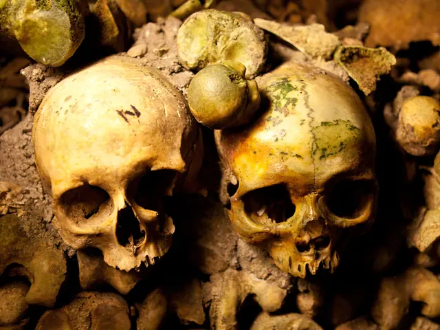 Esplorare i Vantaggi Psicologici della Gestione dei Disturbi Persistenti del Collo e della Schiena