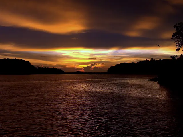 Temperatura dell'acqua in aumento o in diminuzione negli Oceani o nei Mari