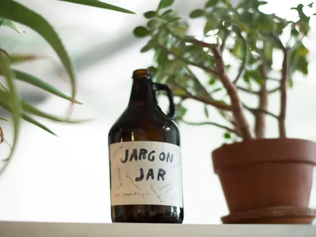 Medicina Tradizionale Maori: Esplorazione delle Pratiche di Guarigione Ancestrali della Nuova...