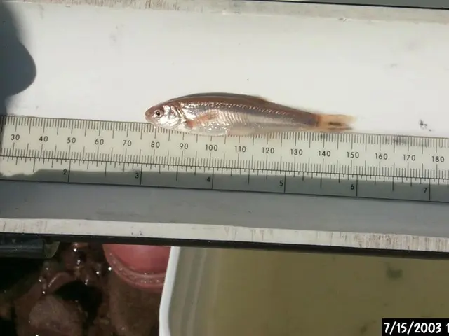  Congreso anticipato al mercato del lavoro degli Stati Uniti venerdì: Previsione di soli 75.000...