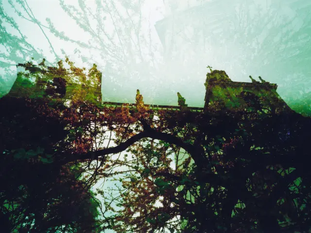 Rivitalizzare Botteghe di Attrezzi Bonsai Antichi: Conservare Strumenti Bonsai Storici