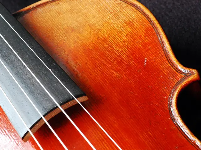 Esplorazione dell'Arte dell' Espressione Emotiva nella Chitarra Stilata: Gala Gala, Un'Analisi...