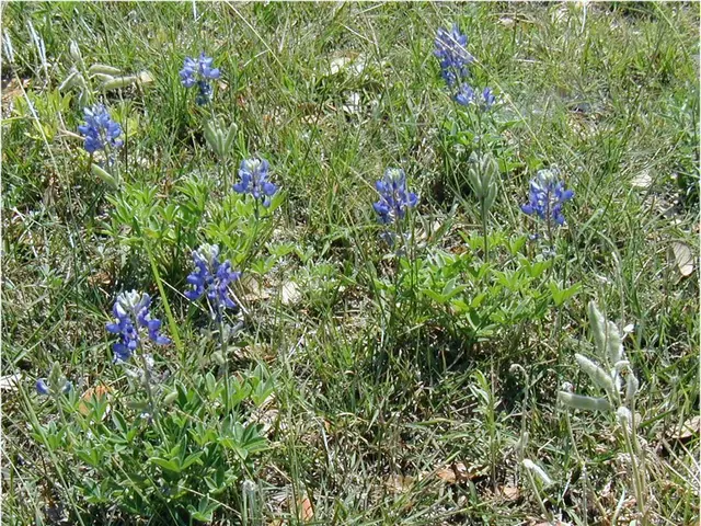Appassionati di giardinaggio, preparatevi per l'arrivo della stagione della vendita di piante del...