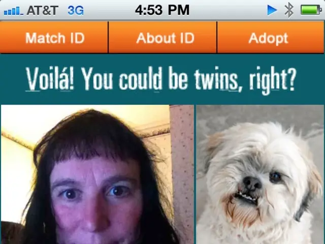 Riprogettazione della Visualizzazione dei Dati: Concentrazione sui Bisogni e la Comprensione Umana