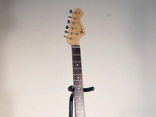 Il mistero della scomparsa della chitarra basso Hofner 500/1 di Paul McCartney, scomparsa per mezzo...