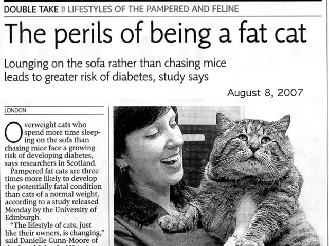 Quattro Metodi Con Cui La Violenza Domestica Può Influenze i Bambini