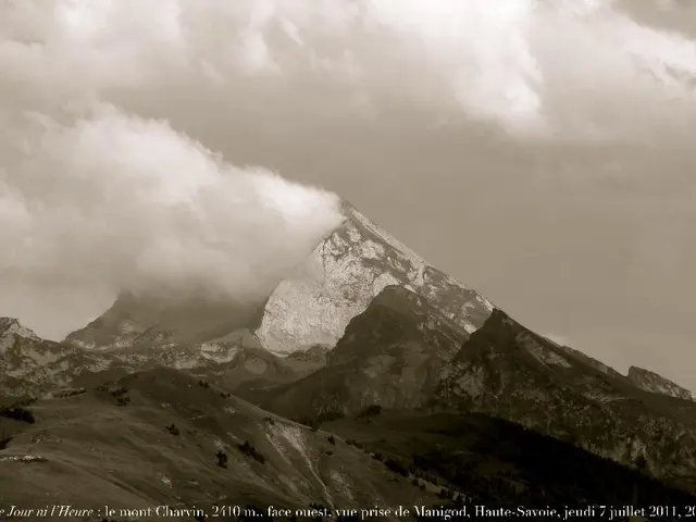 Video creato artificialmente che mostra alluvioni a Sawai Madhopur, Rajasthan, diventa popolare...