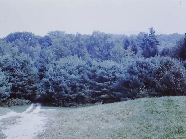 Vita Urbana Modernizzata Grazie a Metodi di Agricoltura Urbana All'avanguardia e Tecnologia...