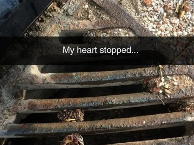 Cuore Spezzato e Melodie di Salvezza: L'Alchimia di Donata事实上，这是 prerenderRio的一个文件，它运行于kun...