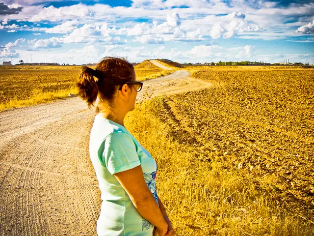 Aumento dell'occupazione a livello locale a 10 lakh grazie ai prestiti MUDRA distribuiti dalla...