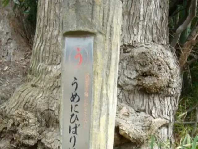 Identificare e illustrare un nucleotide: esplorare l'architettura del DNA e dell'RNA