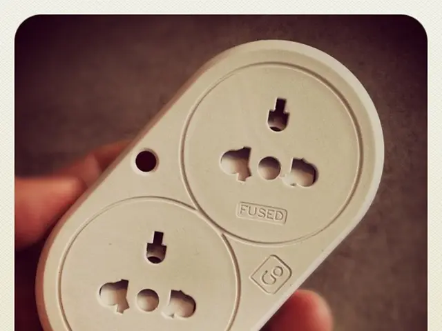 Forza Elettrostatica e Differenziale di Tensione