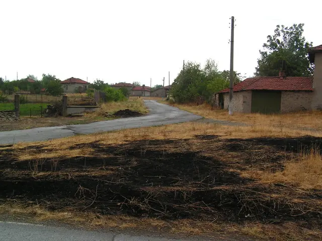 Rinascimento e Iniziativa di Costruzione Eco-compatibile si Radica a South Yorkshire