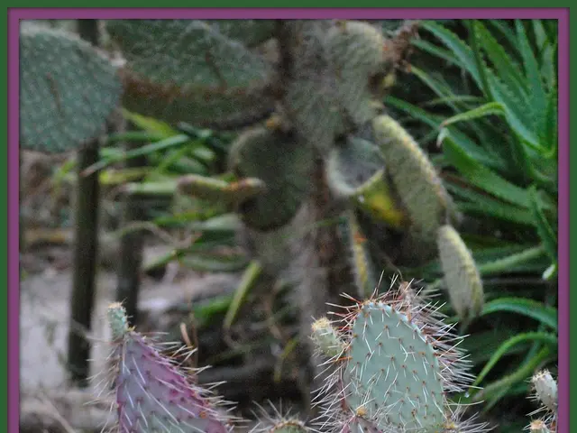 Se sequel di Romulus non diretto da Fede Alvarez