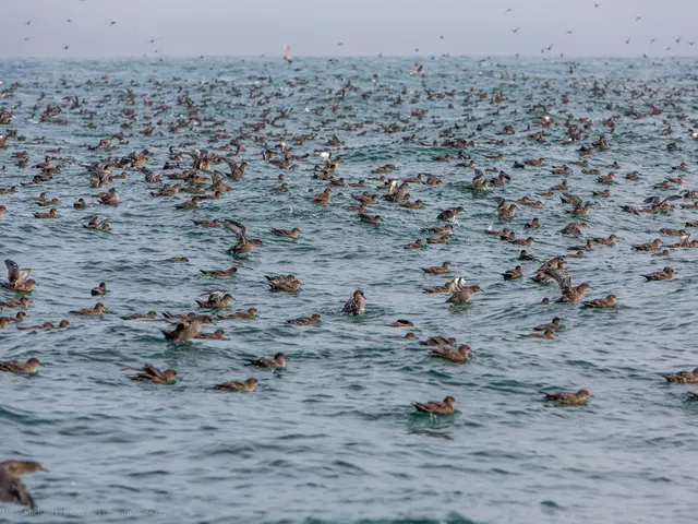 Strategia per il cloud FinOps: ottimizzazione dei costi e massimizzazione del valore