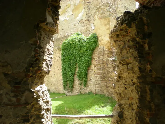 Gigante delle miniere, Barrick, sostiene l'iniziativa del Day Mondiale dell'Ingegneria UNESCO 2025