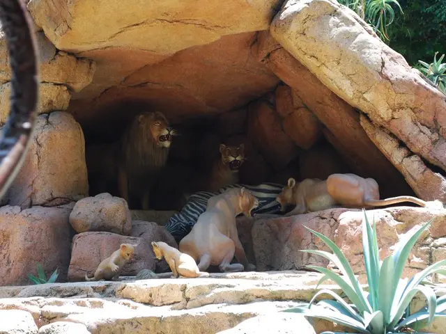 Le resti sottoterra del bambino rafforzano il mistero intorno all'elusivo antenato umano