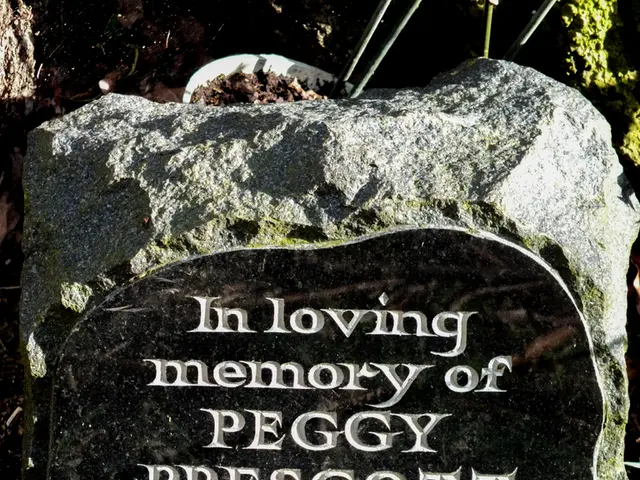 Svelare l'enigma che circonda il paesaggio dipinto di formazioni rocciose del deserto