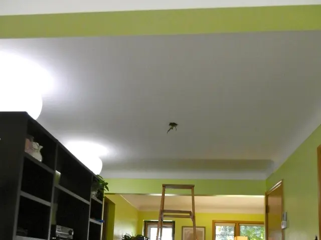 Navigare la procedura di cablaggio di un interruttore reso semplice con questa guida professionale:...