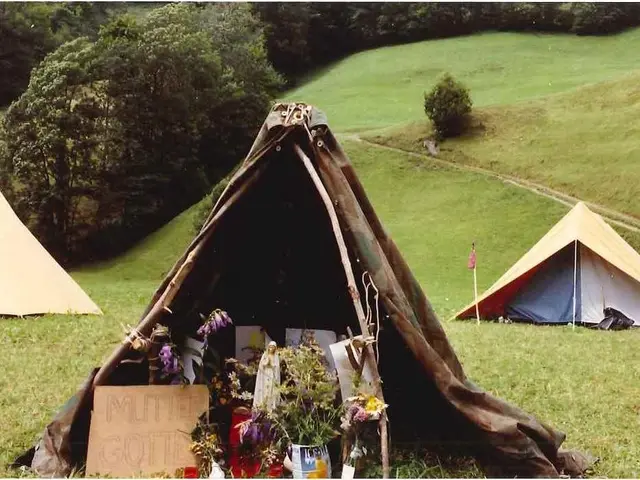 Gazebi Economici Disponibili a partire da £30 - Raccomandazioni di un Editor del Giardino che Copre...