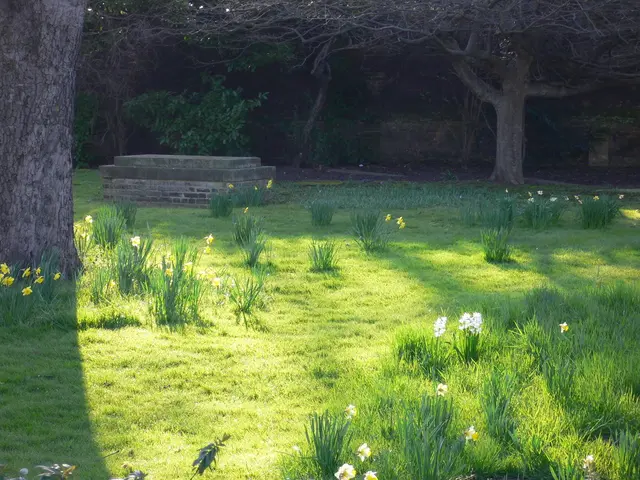 Discussione sul Podcast dei Giardini Parlanti, con Kate Humble